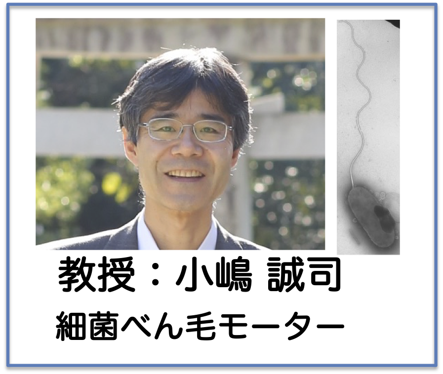 Kojima Group�̃��S