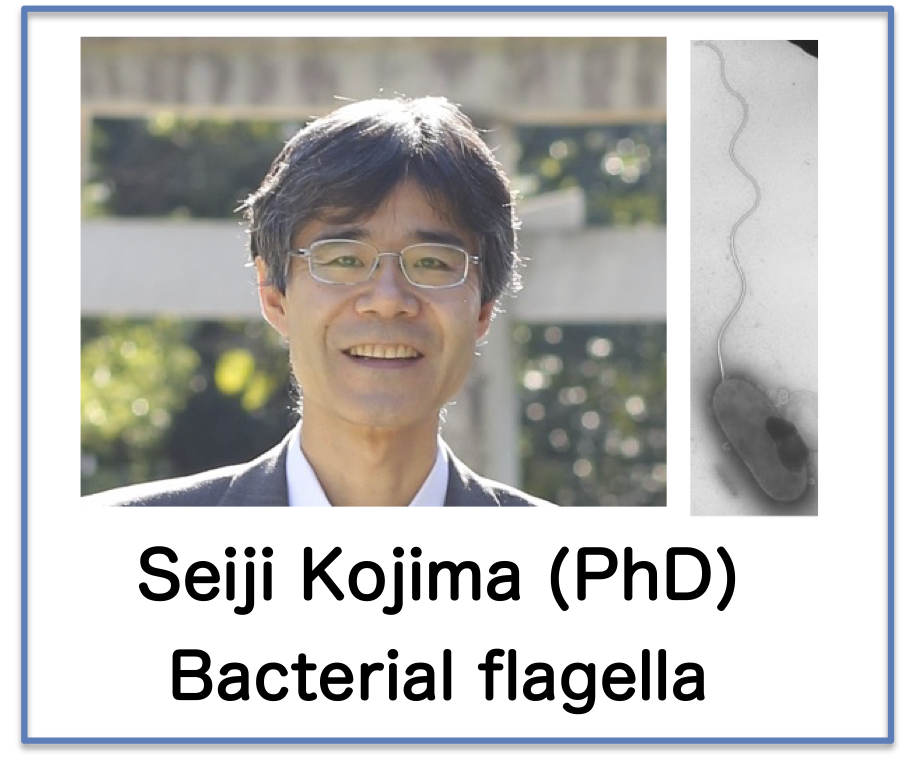 Kojima Group�̃��S