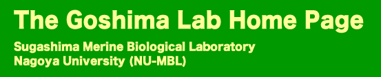 The Goshima Lab Home Page